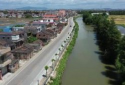 新会区大鳌镇爆料事件最新,真相揭开，悬念揭晓！